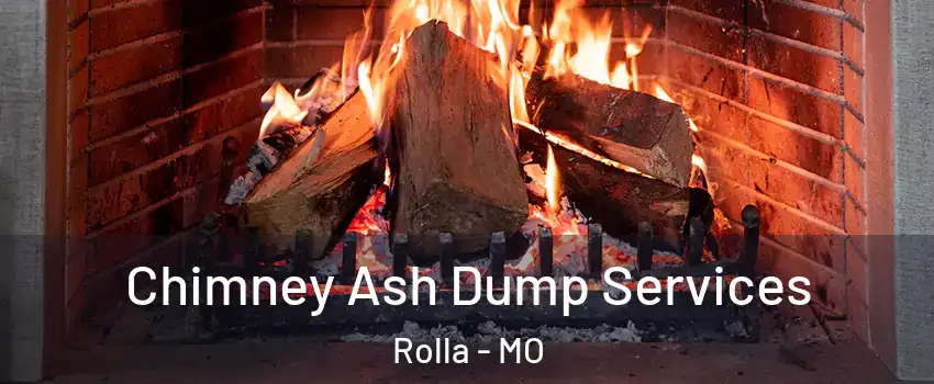  Chimney Ash Dump Services Rolla - MO