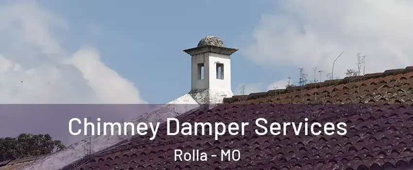 Chimney Damper Services Rolla - MO