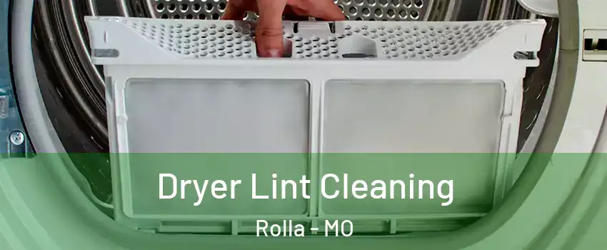  Dryer Lint Cleaning Rolla - MO