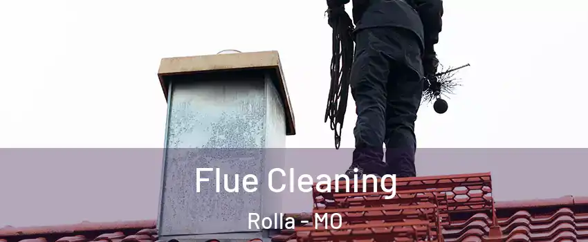  Flue Cleaning Rolla - MO