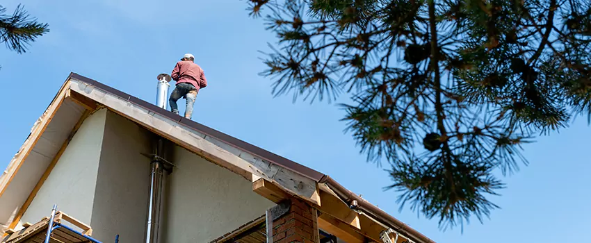 Birds Removal Contractors from Chimney in Rolla, MO