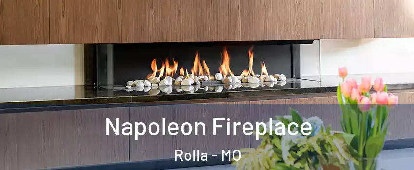  Napoleon Fireplace Rolla - MO